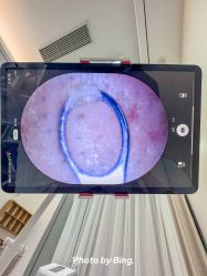 -凡碧诗毛孔清洁收细