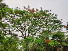 -北海市海滨公园