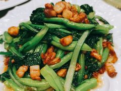 -船尚小镇(武清下朱庄店)