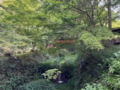 -三千院