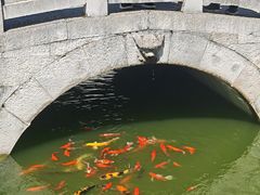 -安顺武庙