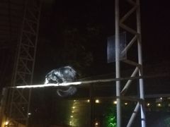 -清迈夜间动物园