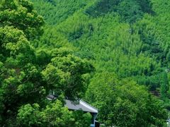 -鹿亭中村