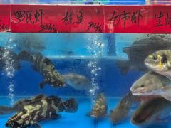 -明本海鲜大排档·鱼生海鲜烧烤宵夜(陈家祠店)
