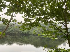 -重庆彩云湖湿地公园