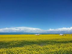 -青海湖国家重点风景名胜区