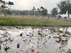 -东莞植物园