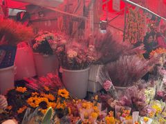 -越秀西湖花市(广州城市广场花卉店)