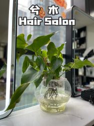 -CE·专业蛋白•羽毛接发·潮色烫染品牌店