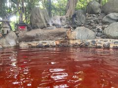 -湖泉半山温泉(湖泉生态园)