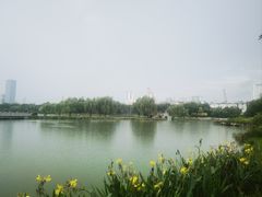 -南宁南湖公园