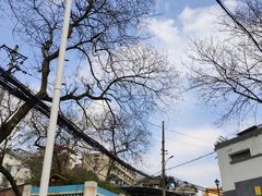 -重庆歌乐山烈士陵园
