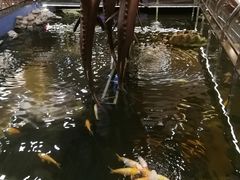 -大天然酒店(军民路店)