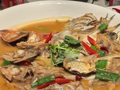 -杨氏青龙虾·羊蝎子(金盛路总店)