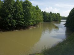 -上海海湾国家森林公园