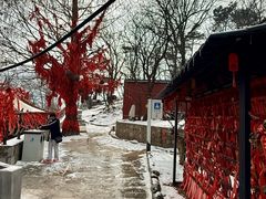 -沂蒙山旅游区云蒙景区(蒙山国家森林公园)