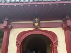 -洛阳古墓博物馆