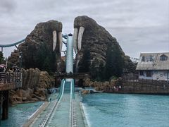 -珠海长隆海洋王国