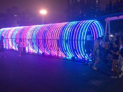 -锦江乐园舞狸花花游园会(夜场专享)