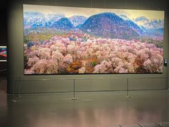 -罗红摄影艺术馆