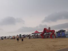 -碧海金沙