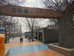 -大望京公园