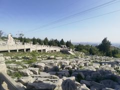 -原山国家森林公园