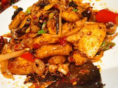 -柴窝堡22号辣子鸡·传承新疆菜