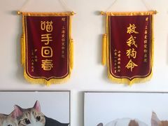 -爱侣宠医·鹦鹉专科·小型哺乳类·异宠专科(灵石路店)