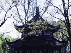 -拙政园