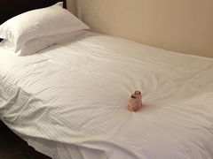 双标间-紫玉御骊酒店