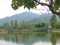 -西涌国际滨海旅游区