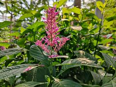 -北京植物园-展览温室