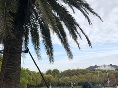 -美兰湖景区