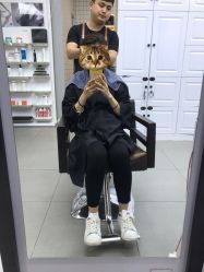-艺鑫发型工作室YX·HAIR STUDIO