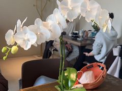 -BOCATA 西班牙餐厅(三里屯店)