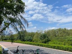 -深圳湾公园(南山区)