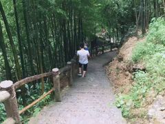 -藏龙百瀑风景区