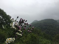 -午潮山国家森林公园