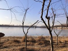 -大兴滨河森林公园