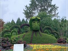 -东平国家森林公园