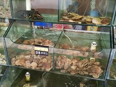 水产区-四海鲜渔家菜(黄金海岸店)