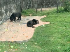 -无锡动物园·太湖欢乐园