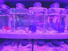 -华声天桥民俗文化园