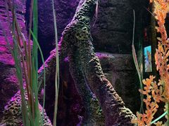 -沈阳海洋探索中心