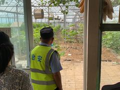 -庞各庄翠芳园西瓜蔬菜基地采摘园