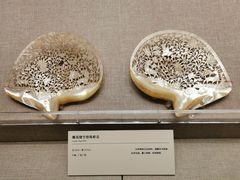 -清华大学艺术博物馆