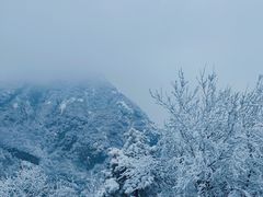 -秦岭终南山世界地质公园翠华山景区