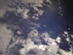 -君之狮子山·轻糖烘焙(松江印象城店)