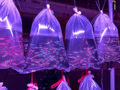 -华声天桥民俗文化园